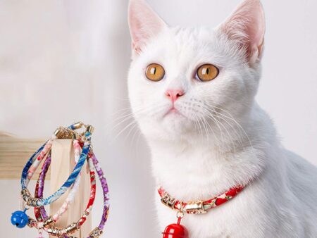 Fashion Collars and Accessories