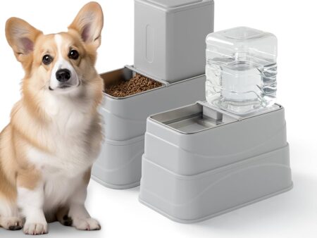 Automatic Feeders and Water Bowls