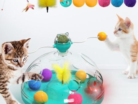 Interactive Cat Toys