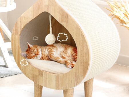 Designer Cat Beds