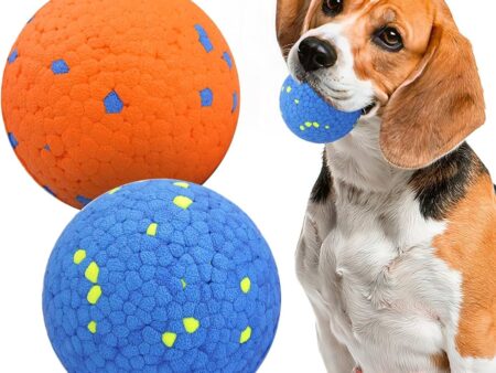 Smart Toys for Dogs