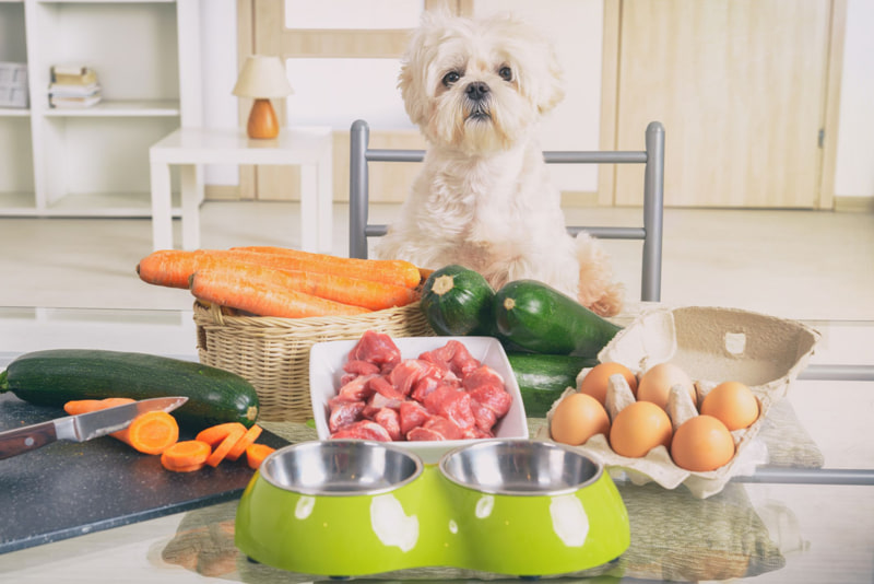 "Choosing the right organic dog food formula for your dog’s specific needs helps improve overall well-being."