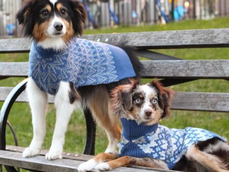 Fashionable Dog Clothing