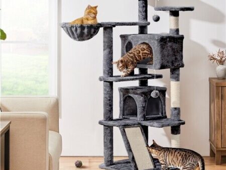 Cat Trees and Play Towers