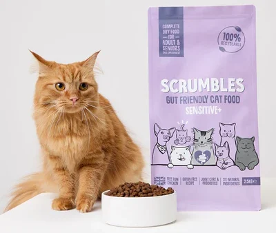 Grain-Free Cat Food for Sensitive Cats